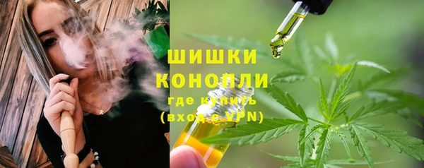 МДПВ Инта