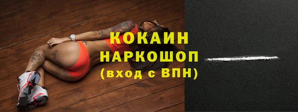 МДПВ Инта